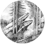 Schützenverein Kühlenfels 'Drachenfels' e.V.